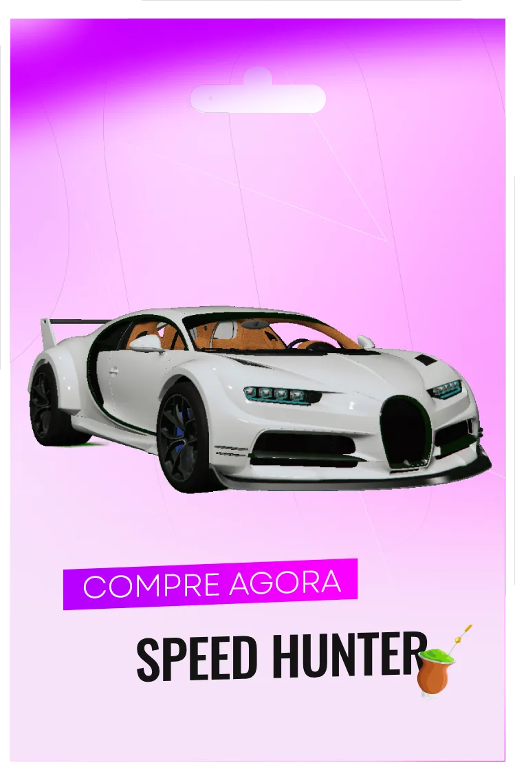 BUGATTI CHIRON SPEED HUNTER